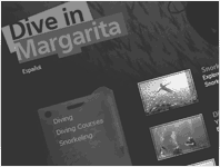 Diveinmargarita.com